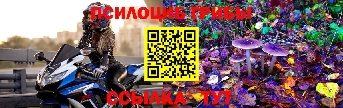 Кемерово  сколько стоит  Вход с VPN  Галлюциногенные грибы Cubensis 